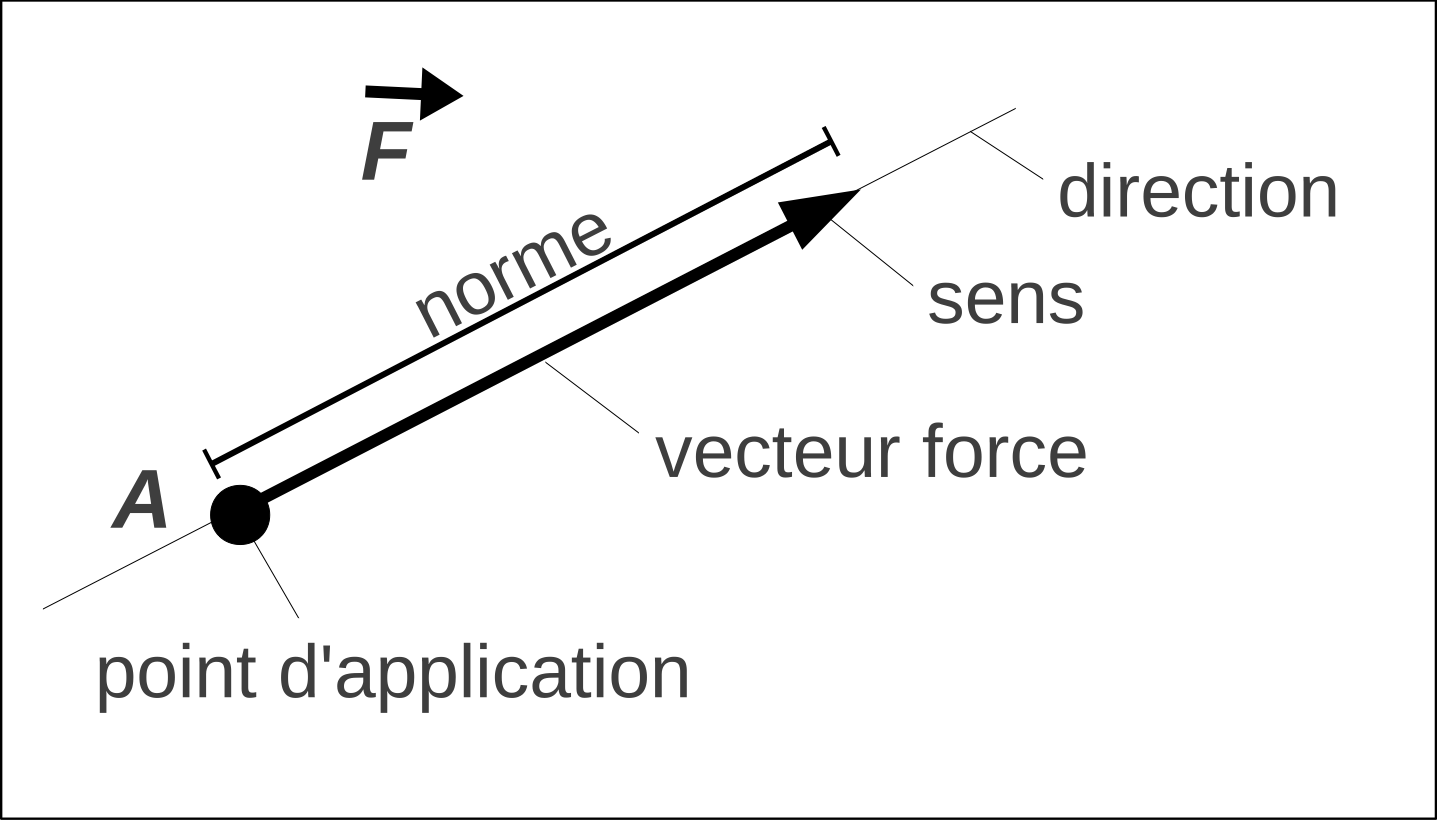 Une force est caractérisée par un point d’application, une norme en newtons, une direction, et un sens